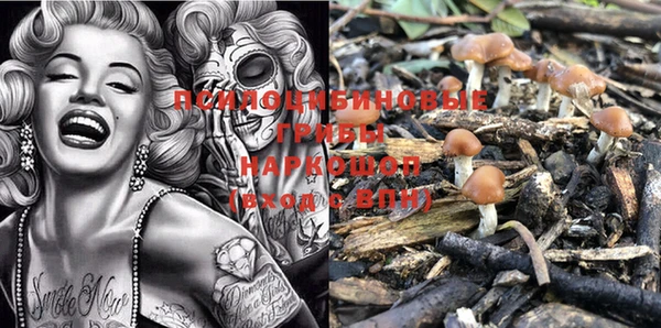 а пвп мука Медногорск