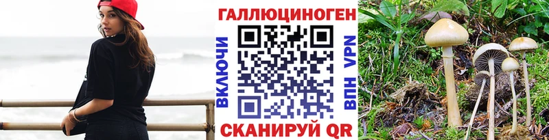 Купить где  Ангарск  Псилоцибиновые грибы ЛСД 